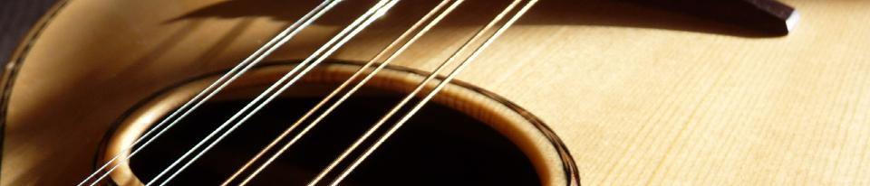 mandolinvince008